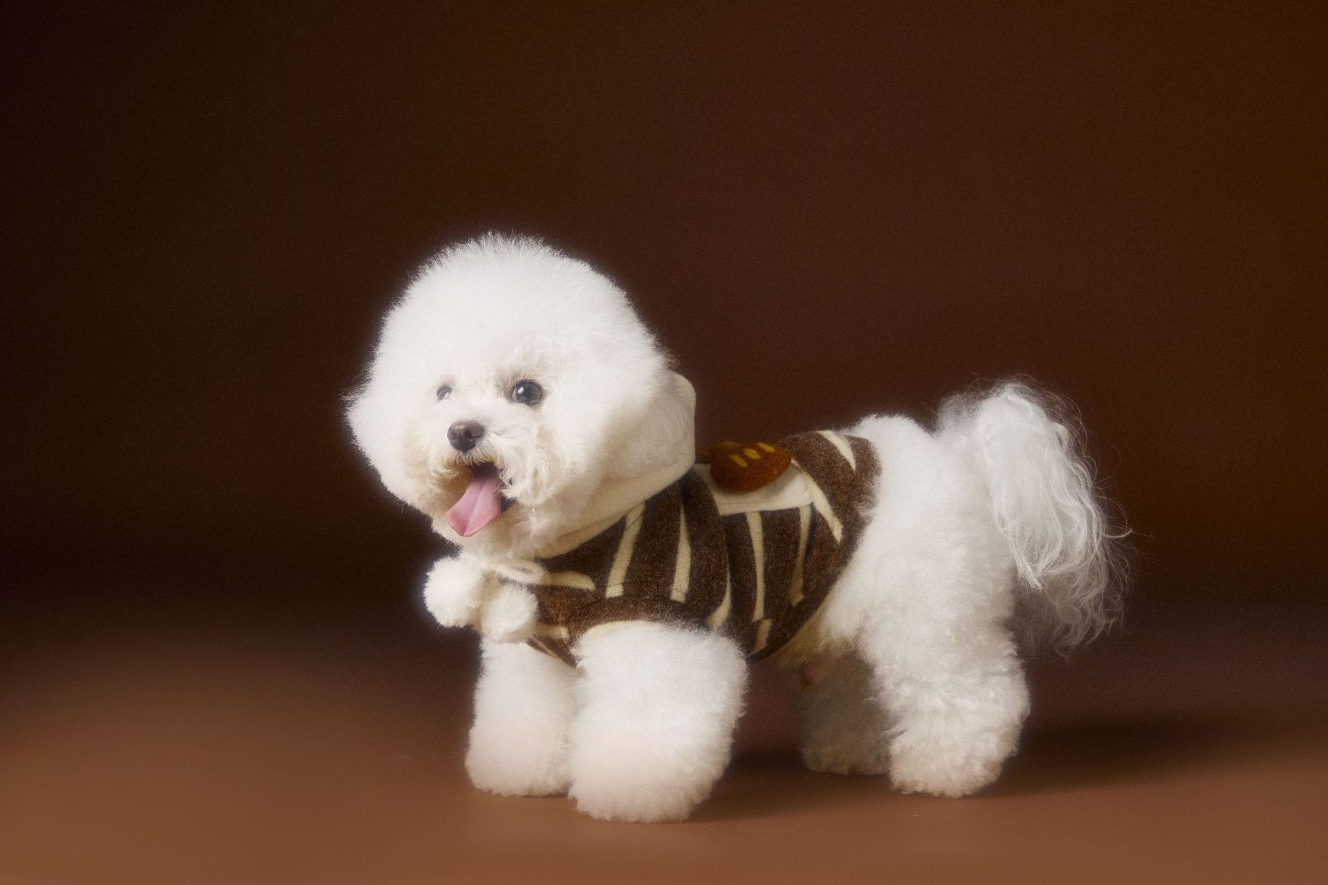 image_D5665227-5A61-4716-9144-7CF6812B4648_1762618152