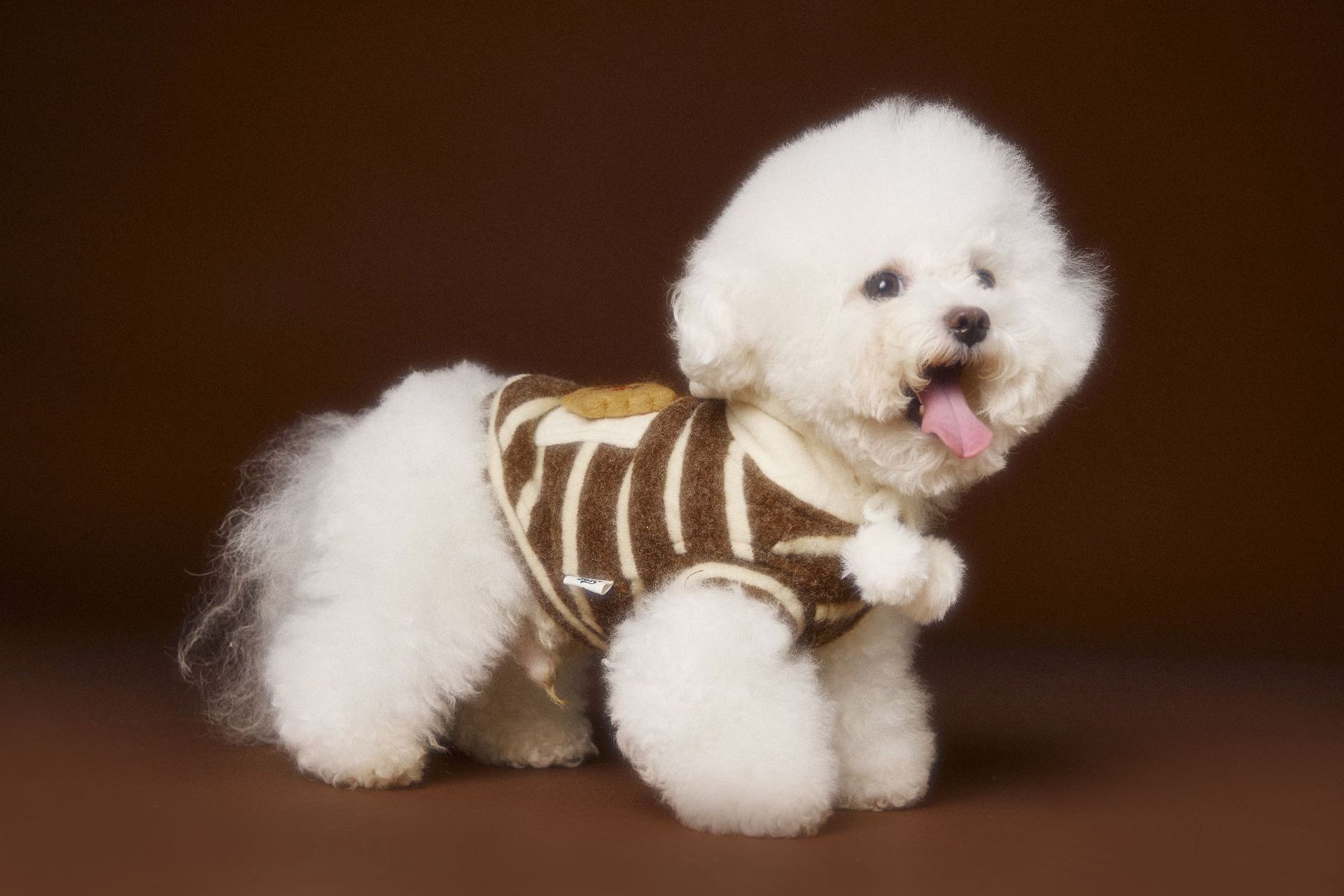 image_D6CD4938-574F-4D38-A1B0-C30F1E1DC3BC_1762618152