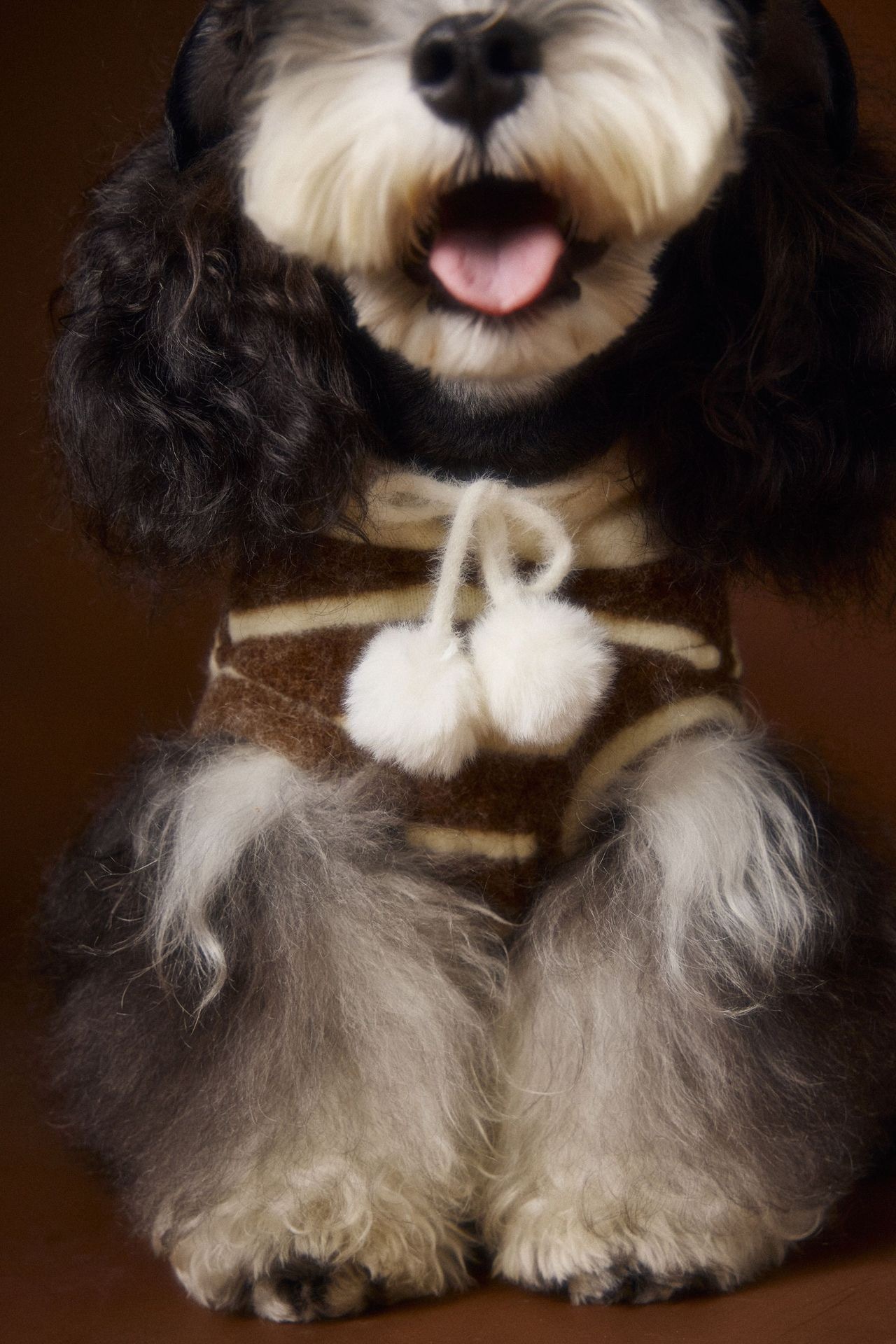 image_DA0CFC9C-EC12-4CE6-B63F-4253610D7375_1762618152