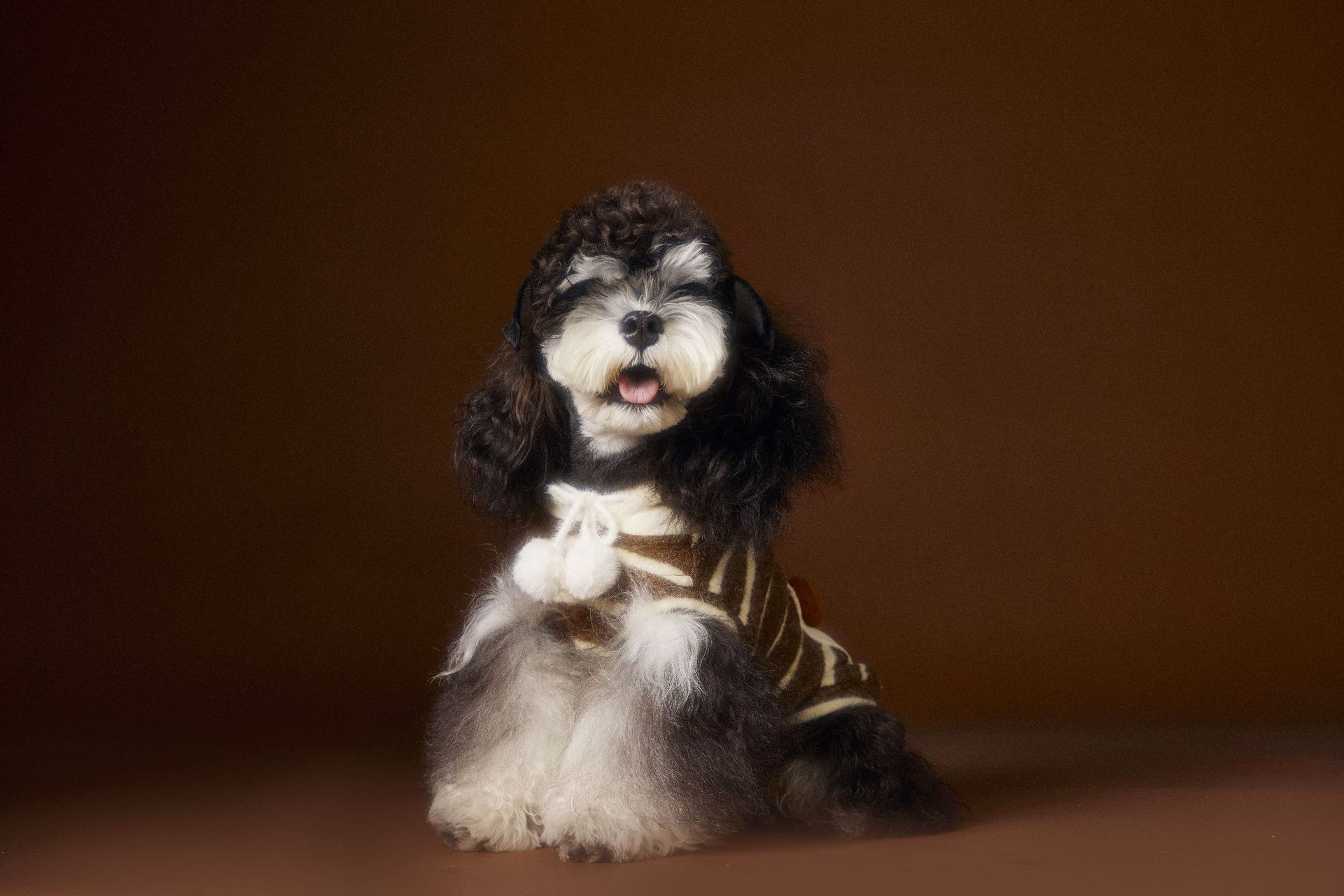 image_D325E545-F86F-4988-9A6B-8AC93F5CC93B_1762618152