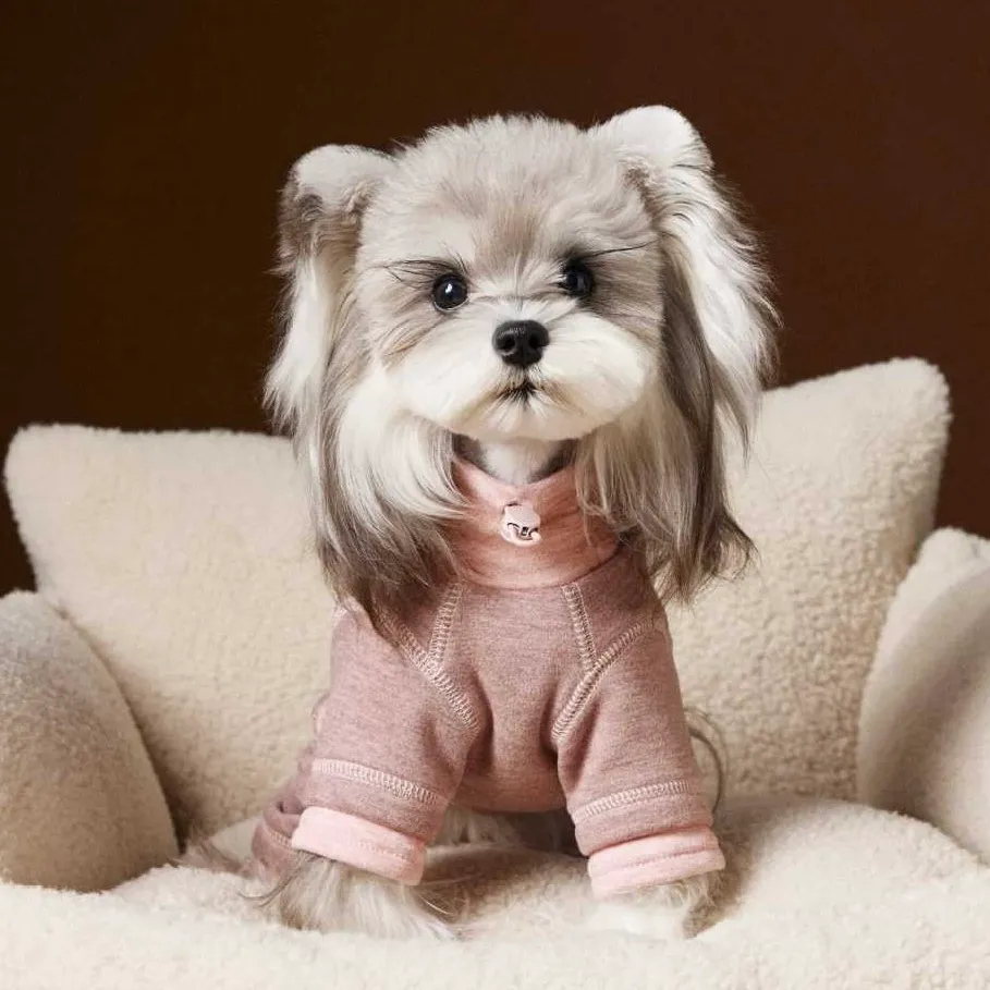 image_DF618B74-FE48-418F-8428-11871525A5A8_1762618516