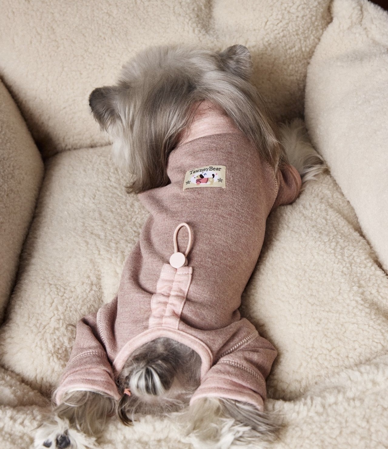 image_BDD04171-FC08-49C0-AC25-19482D295C94_1762618516