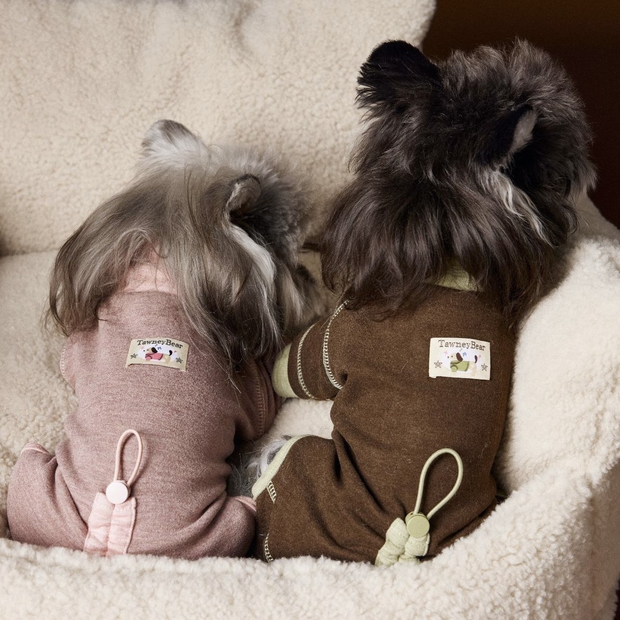 image_17A0DF36-3A37-4617-A2FB-31BD3884471F_1762618516