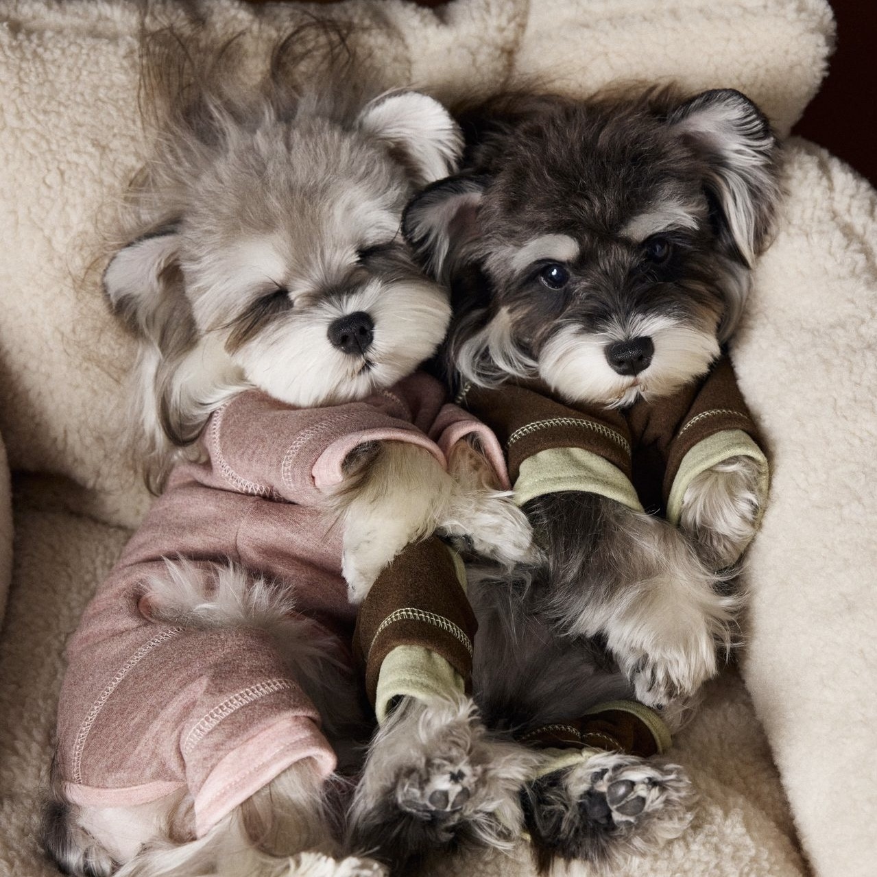 image_C7C809E0-8509-42A0-A563-CFBC554C6090_1762618516