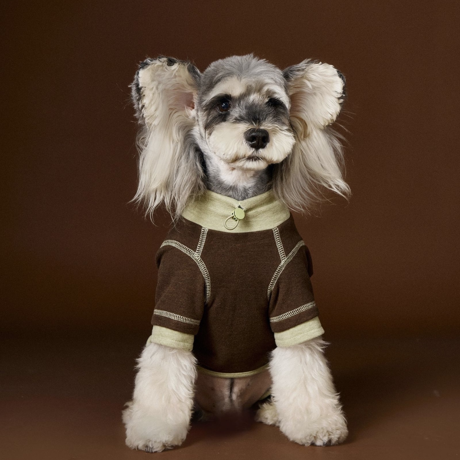 image_4C260199-9BAE-4CC4-A548-8F3D5DDB08C8_1762618762