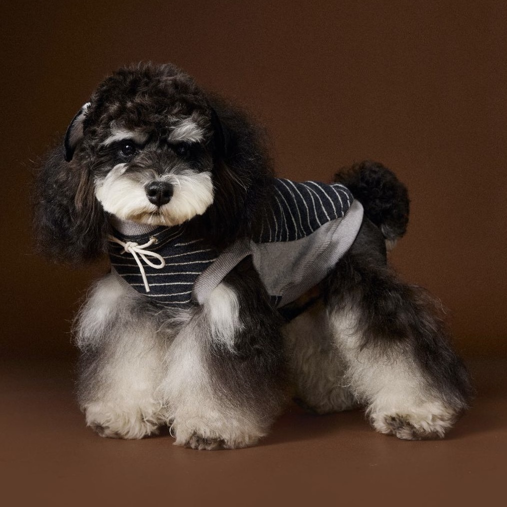 image_5A418CAD-B337-4C81-BC0F-53A7E191EEAE_1762619057