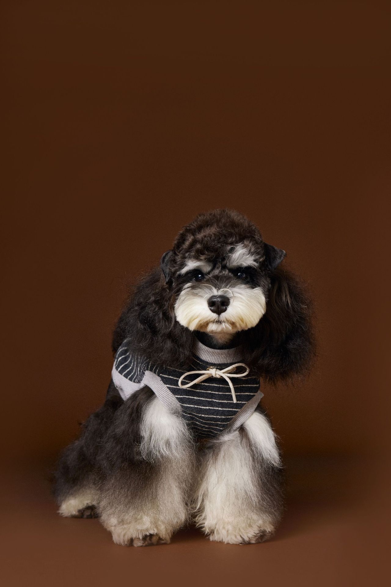 image_642D1944-22F1-4373-A649-4F39FD6FE370_1762619057