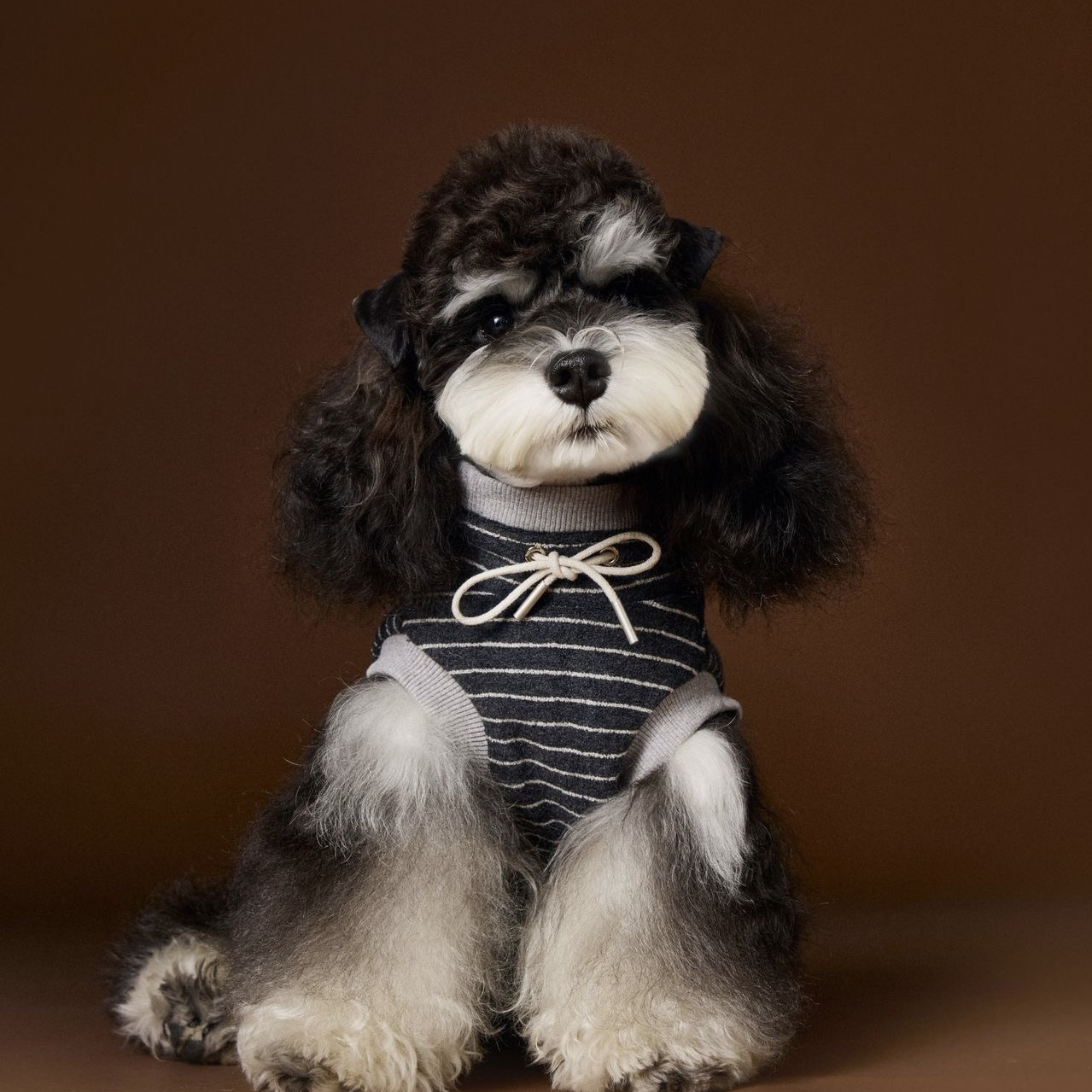 image_435A756F-52E5-4145-A27C-E9CFDB8496E9_1762619057