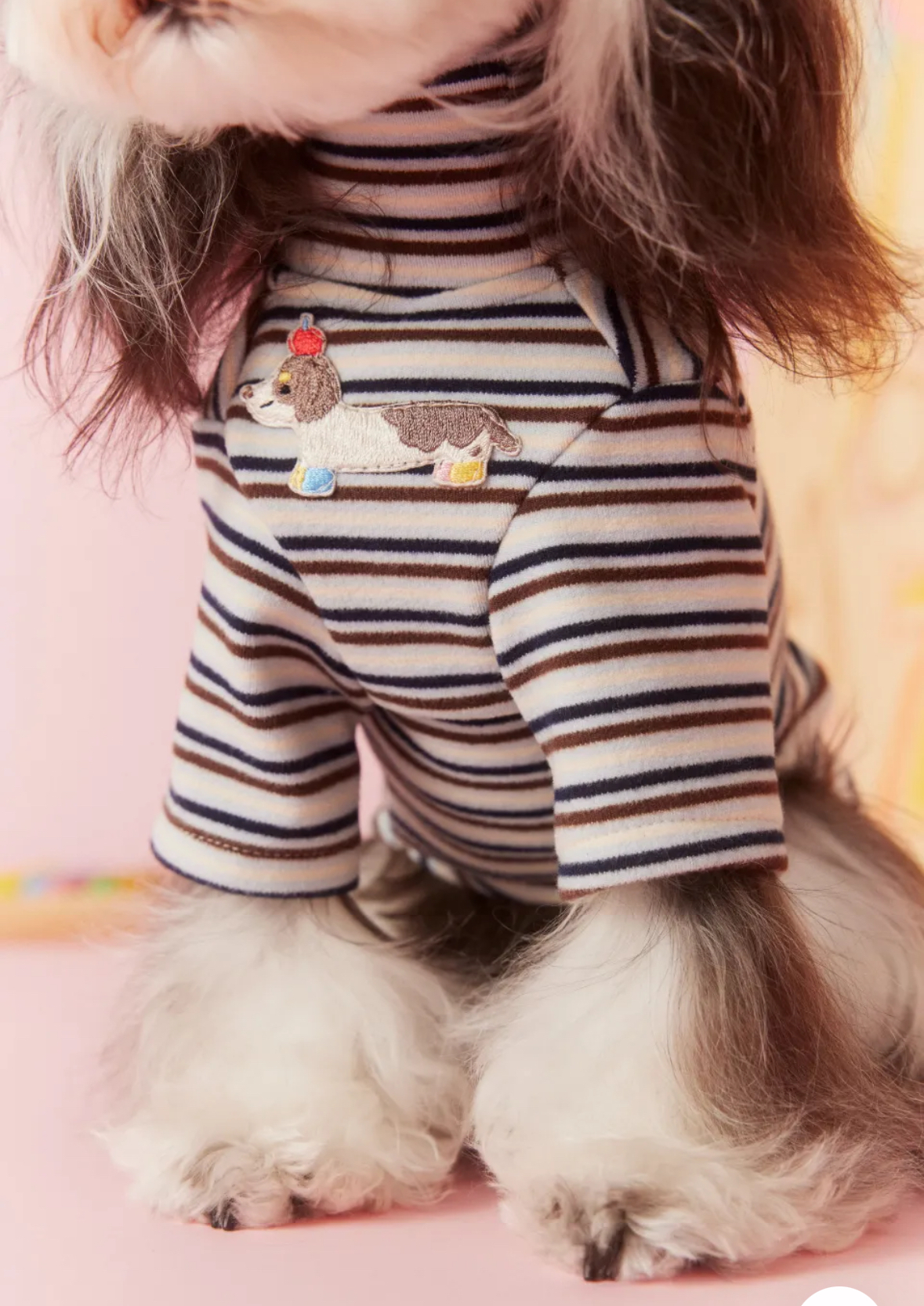 image_31DF51E4-CB1F-4C7C-904B-F6377CBED282_1762619618