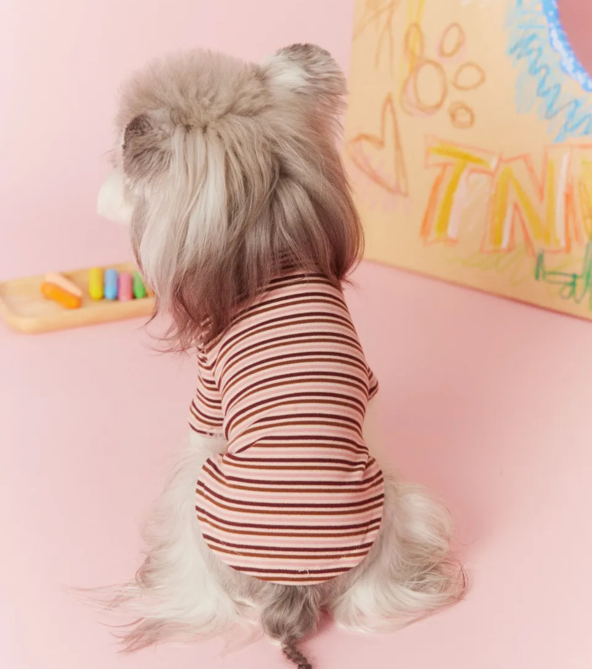 image_881B3409-4483-4C89-903A-68E6BD854E44_1762619642