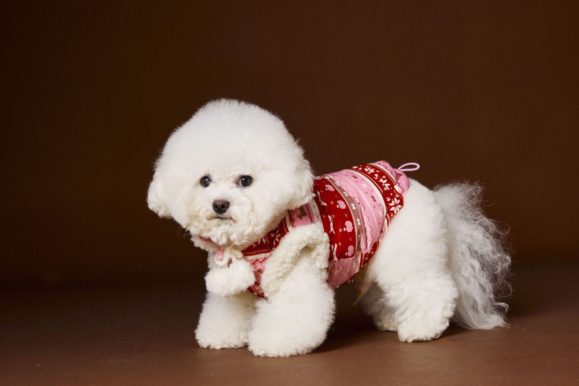 image_E9E7008E-ABBA-4561-AA6C-4ABF148F2002_1762660266