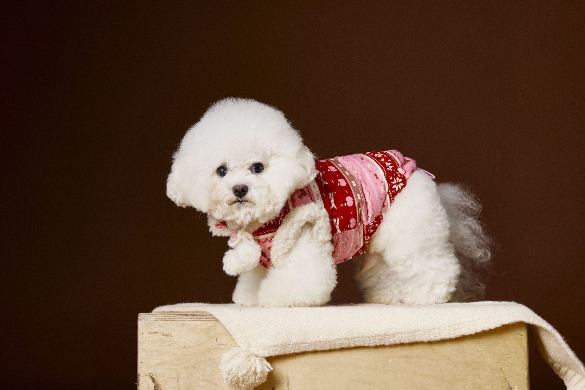 image_76284087-524E-4402-A24D-52989904A0A1_1762660266