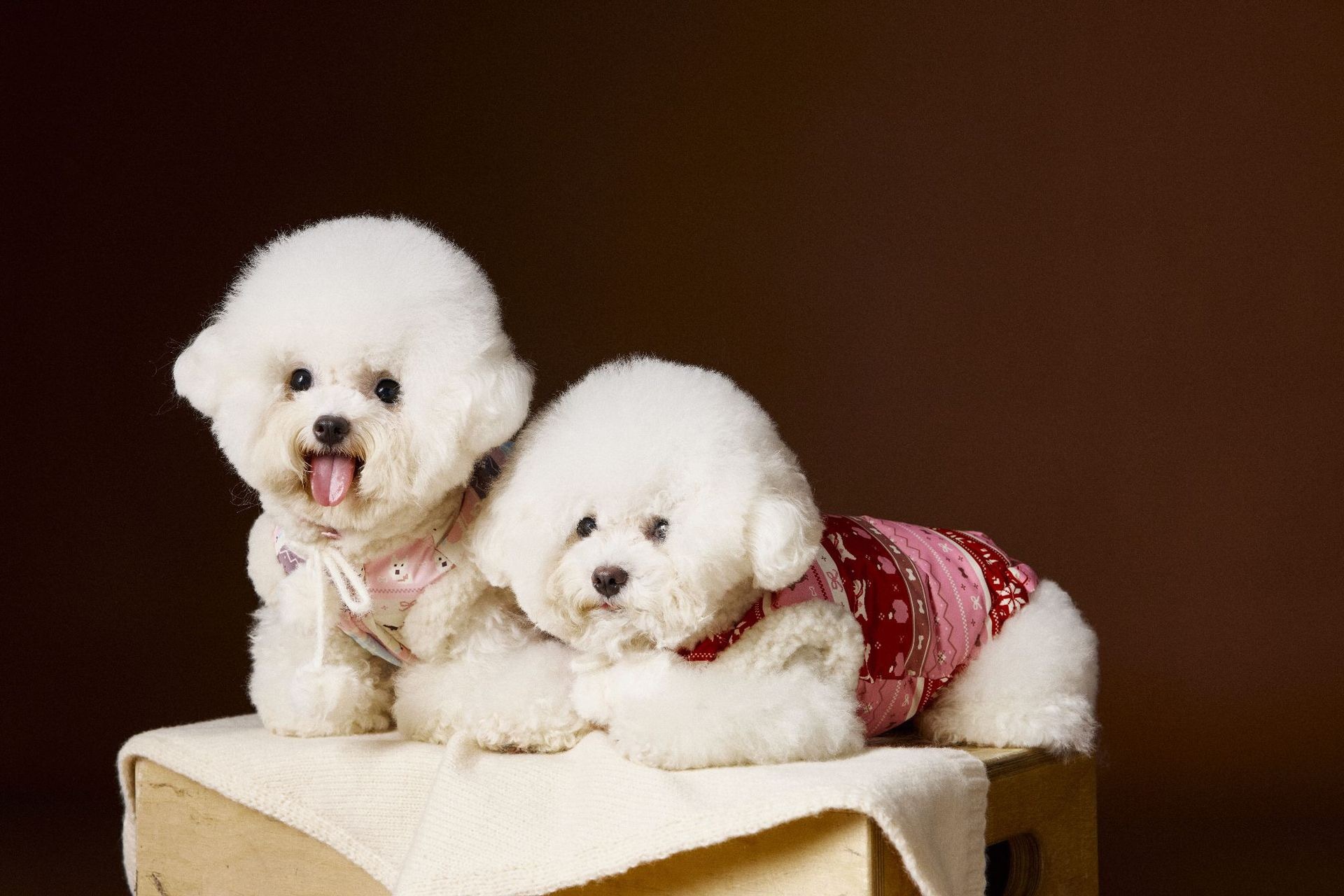 image_2F4CA056-8C90-433B-920E-4F9B7836DB84_1762660266