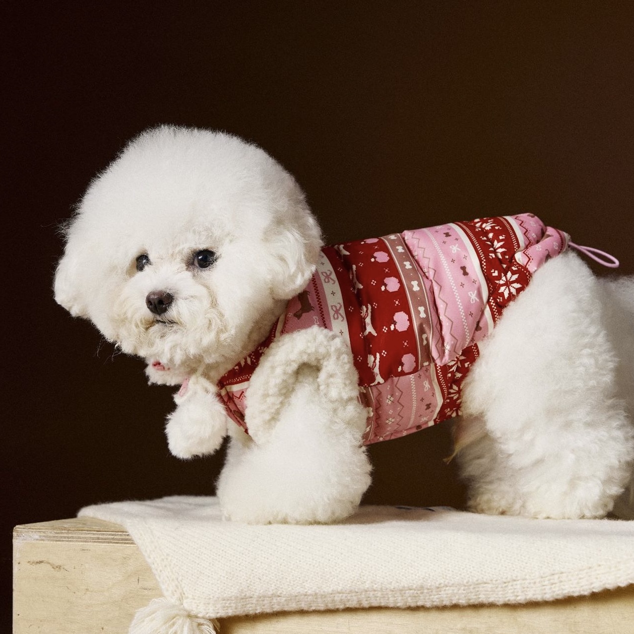 image_42C6EF4E-E91B-4081-846B-81FBD104D061_1762660266