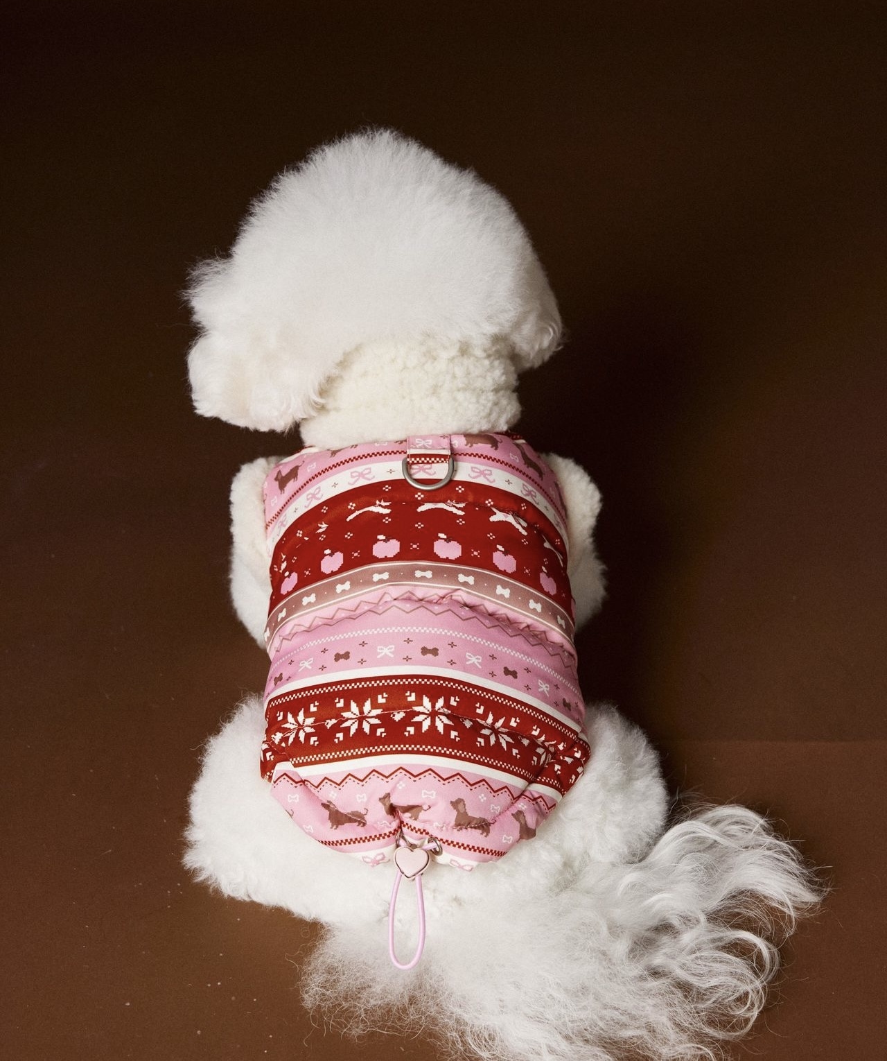 image_A2CD90BF-9211-49D9-B54F-3CD11123D09A_1762660266