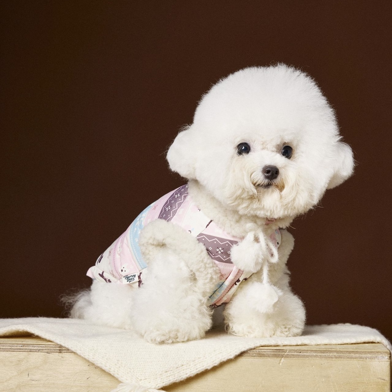 image_846A6802-5575-4F9A-BA0D-CEF40D4589B2_1762660468