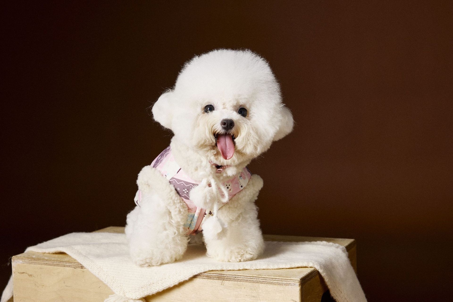 image_88021FC2-B2D9-4CFE-AF12-867B171DC185_1762660468