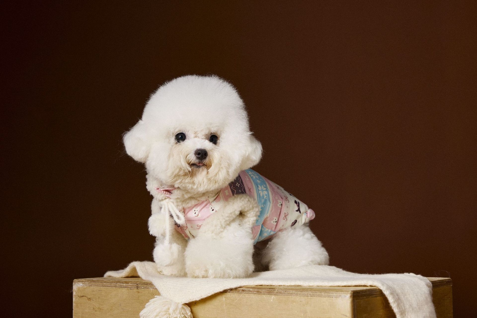 image_9351E325-7A26-418E-9BAE-0997100BEFB7_1762660468