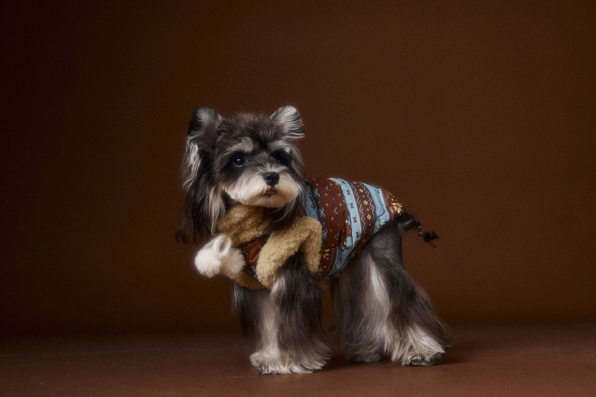 image_DE714DC5-6298-4D37-9B51-74DFF1F8C75A_1762660841