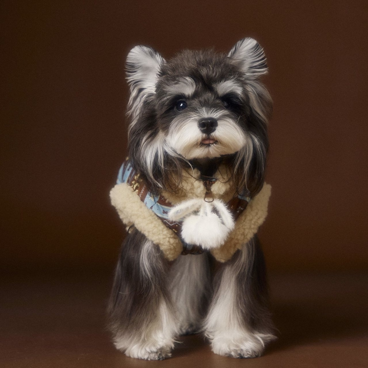 image_85020DA8-C21E-4DB6-B764-F9CEB11D7F1A_1762660841