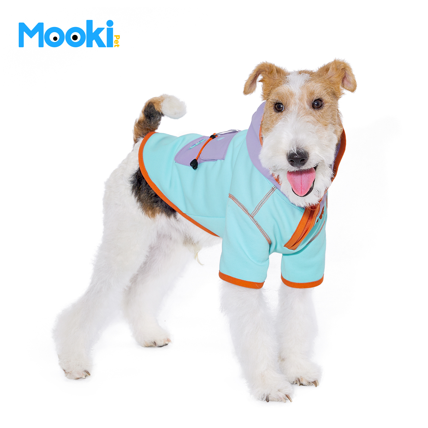 image_347CB57B-C282-4706-84D4-999F16C8B8E5_1762673871