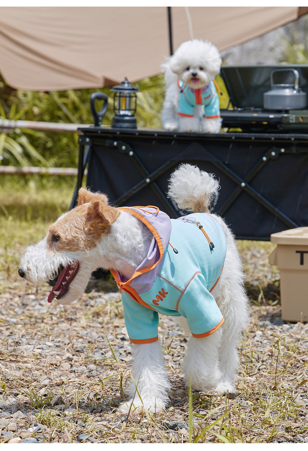 image_B2B82AC2-CF4E-485A-93F6-DD159A290E8D_1762673871