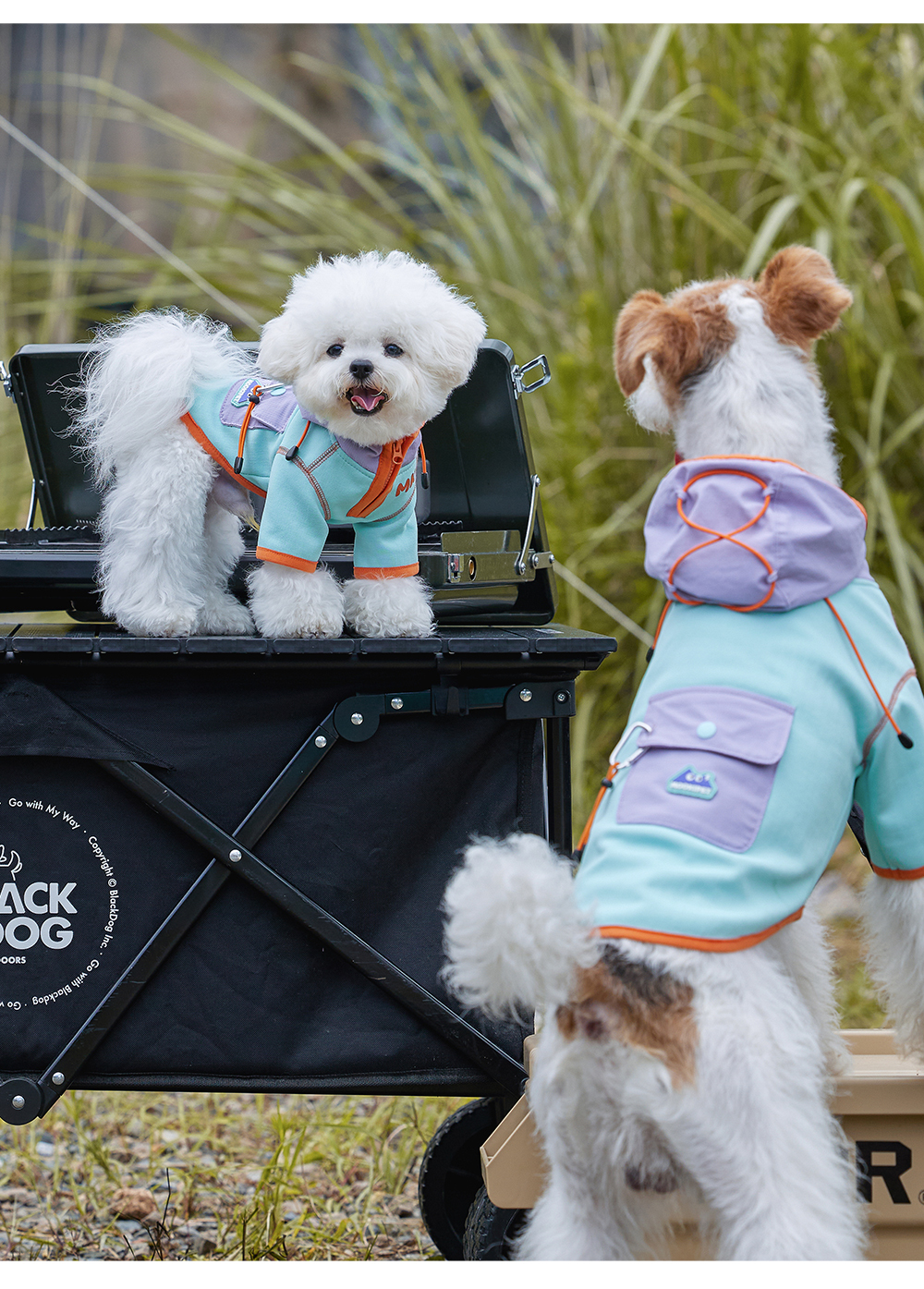 image_7366667D-10BF-4CA2-902D-931145949A49_1762673871