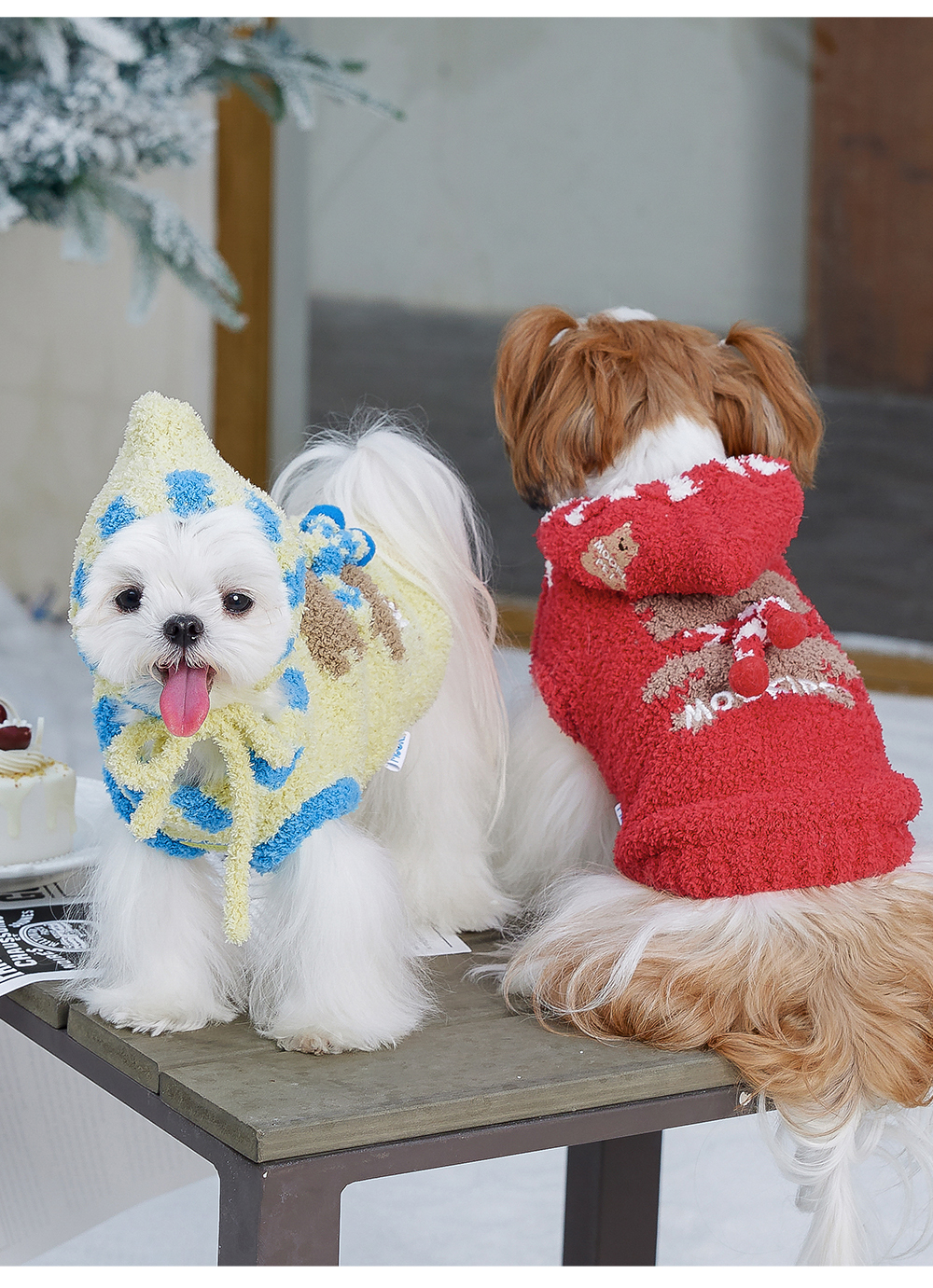 image_EA9952A9-5449-41CF-8ED0-A2367AC549B6_1762714063