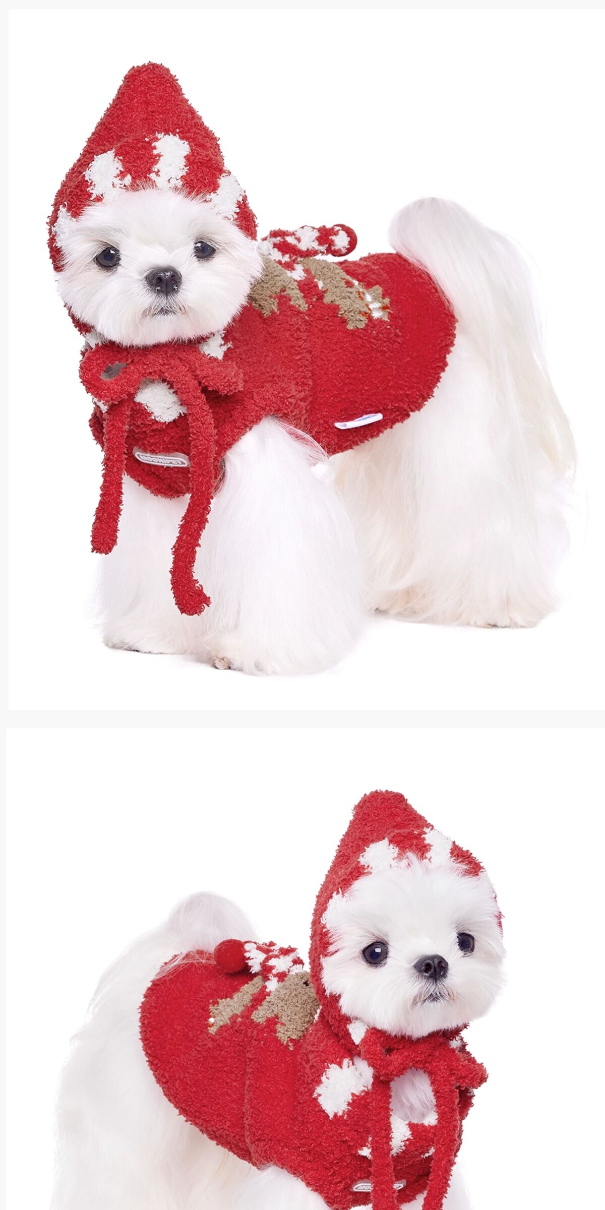 image_05AC0A0A-EB1A-4A0D-B8B8-E7F4FB304EC2_1762714399