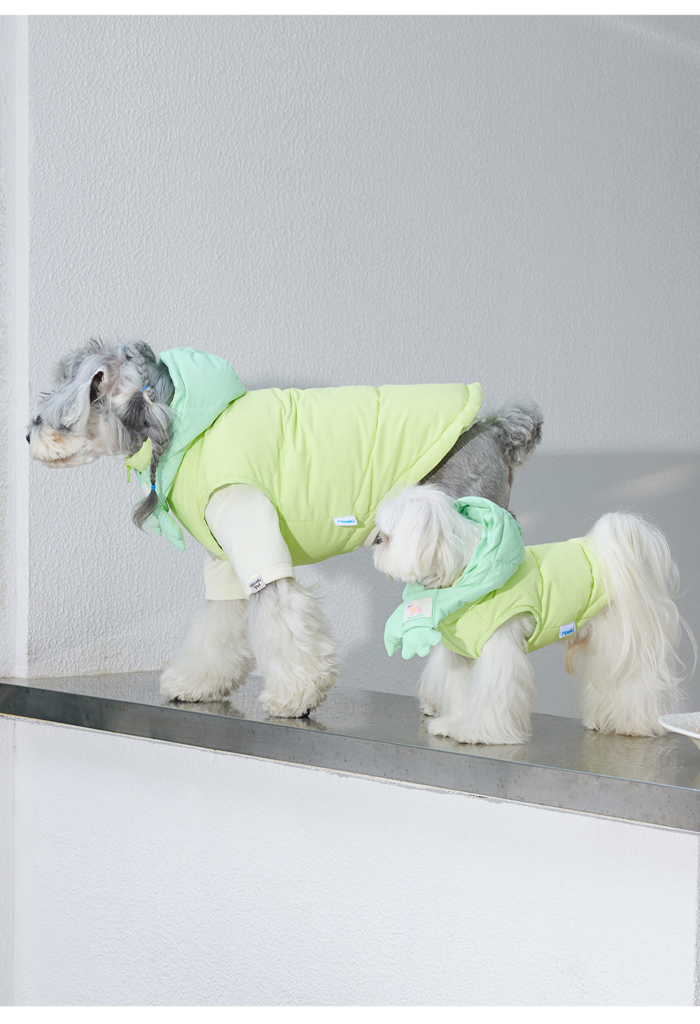 image_45F4E374-7BE5-460D-9F83-3371A201EAE2_1762715110