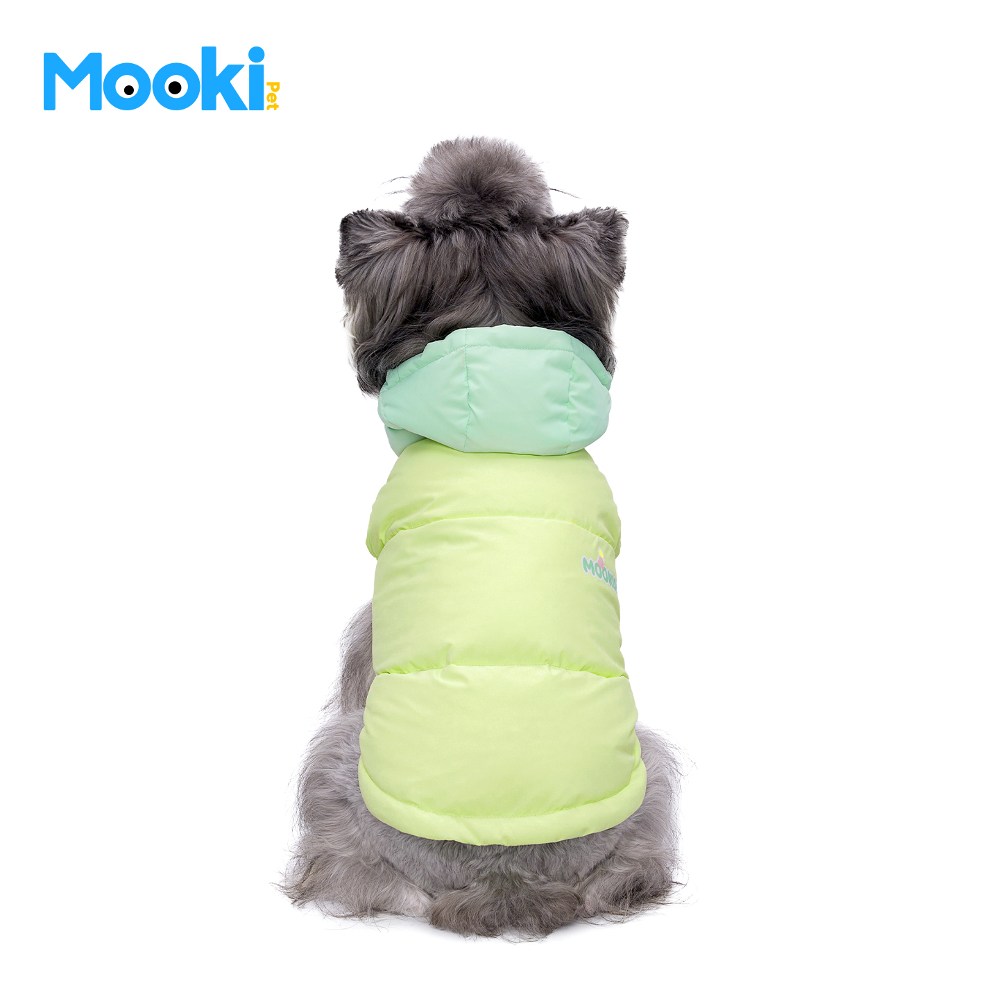 image_E6A7B5EA-B0A9-4483-BA4C-E8FAAE227A42_1762715110