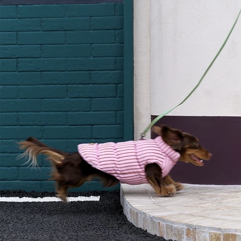 image_FFC756AE-F56F-4B9E-8B53-C9B7939EEC7F_1762749680