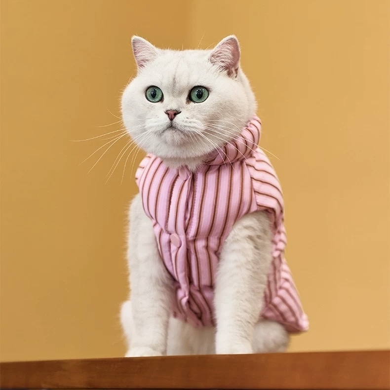 image_456B386D-7C1B-42AD-A6B7-7AE4C2FADD7B_1762749681