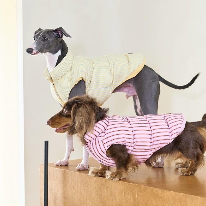 image_CDB80559-83A1-43A5-B406-1AB6023D359D_1762749680