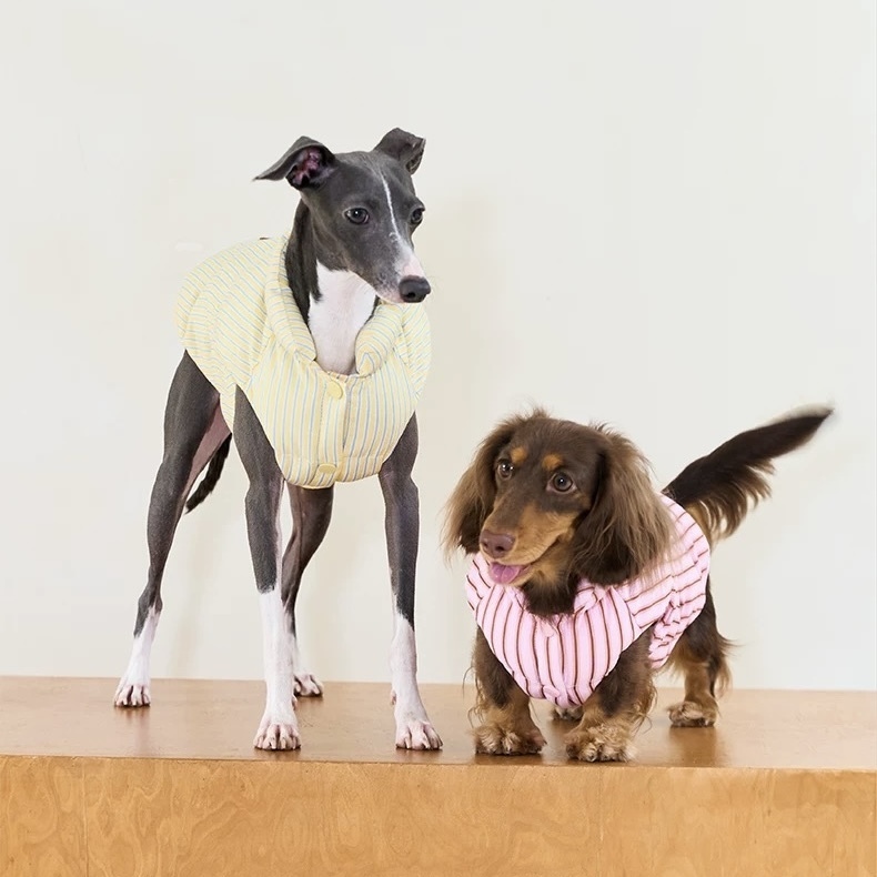 image_FA955663-13D9-45DB-8677-64FD693A1C9C_1762749680