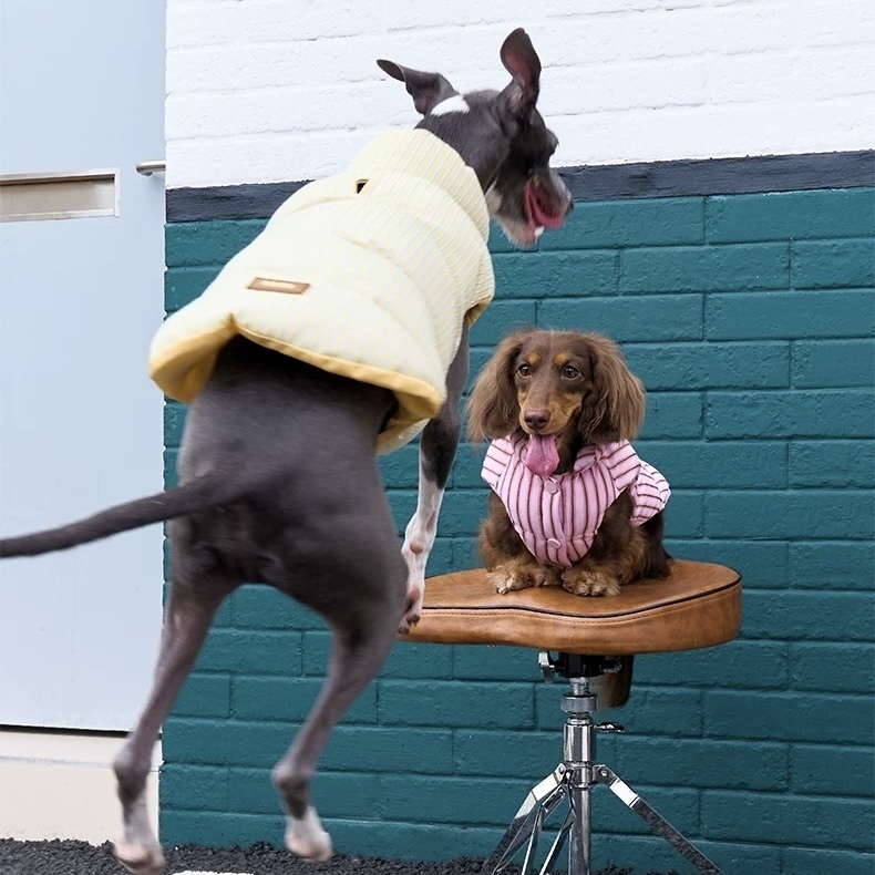 image_1407B7D2-713B-45C3-A6A7-9E1352661F91_1762749680