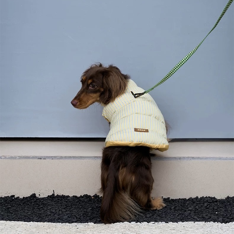 image_938FEDDF-9DA3-42B0-B57A-5B10313EB23D_1762750215