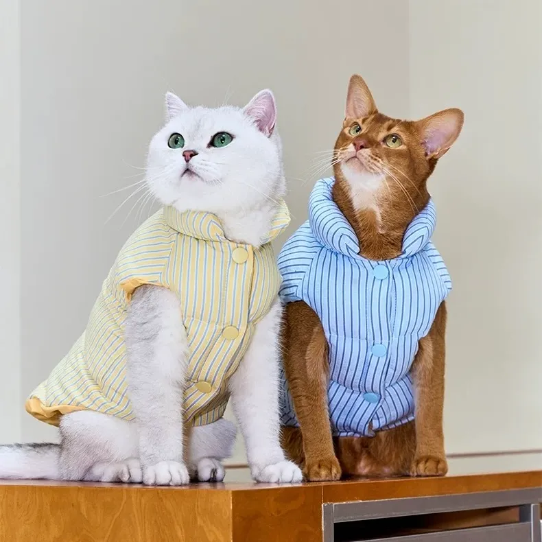 image_9F018C6F-1200-4C92-B2F0-AB2D9FA0A64D_1762750215