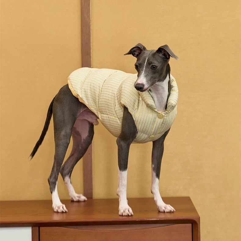 image_776E5FA9-9C5F-4896-AB87-D6472F98280C_1762750215