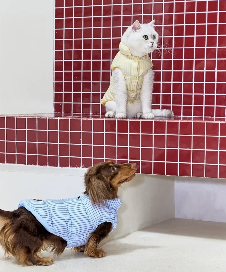 image_0BEB8B94-A0B0-47F8-9B65-31B7B1408CE0_1762750215