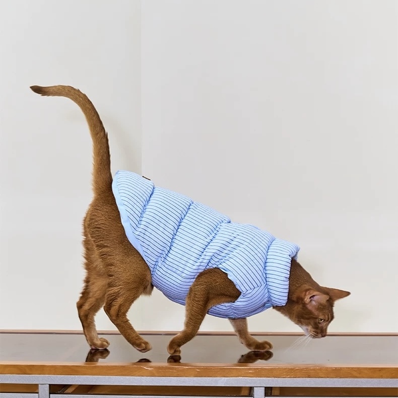 image_67C86D7F-1E44-4468-993F-2D76154A5D6F_1762750315