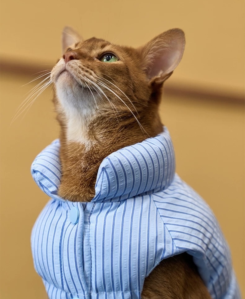 image_82F1134F-64E0-40FC-BD8A-B6BC2F0D7388_1762750315