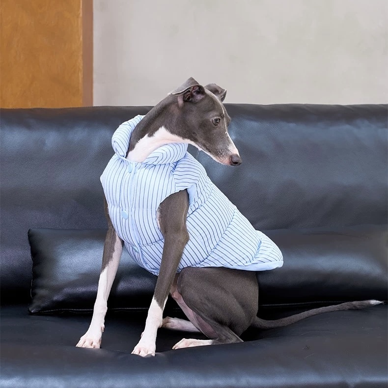 image_E012A9D9-1EC4-4127-A0F8-9992DDA803E1_1762750315