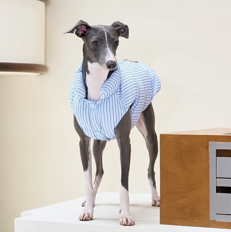 image_2F5CEF7E-E8A0-45B0-9AEF-F7F054DFD437_1762750315