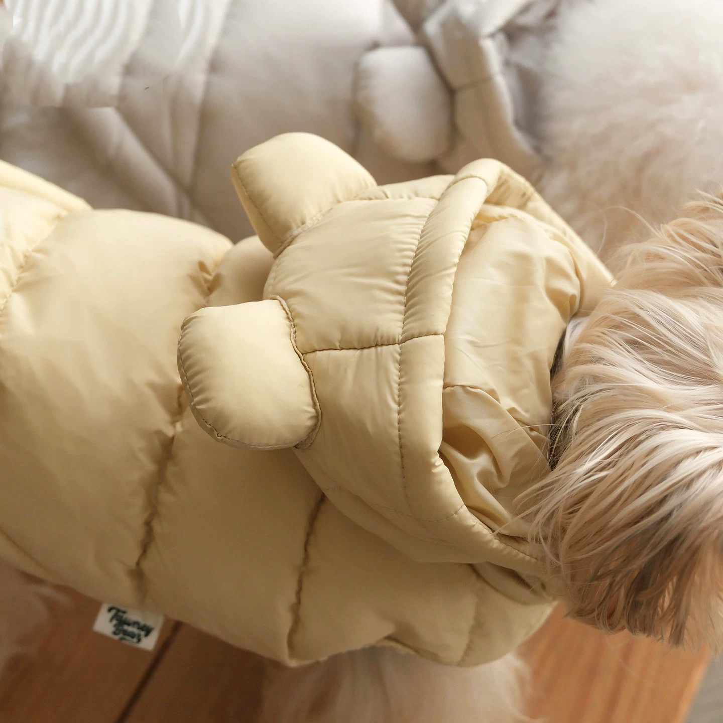 image_6F2B8E36-5D47-4121-BECD-B851FDD760F3_1762752077