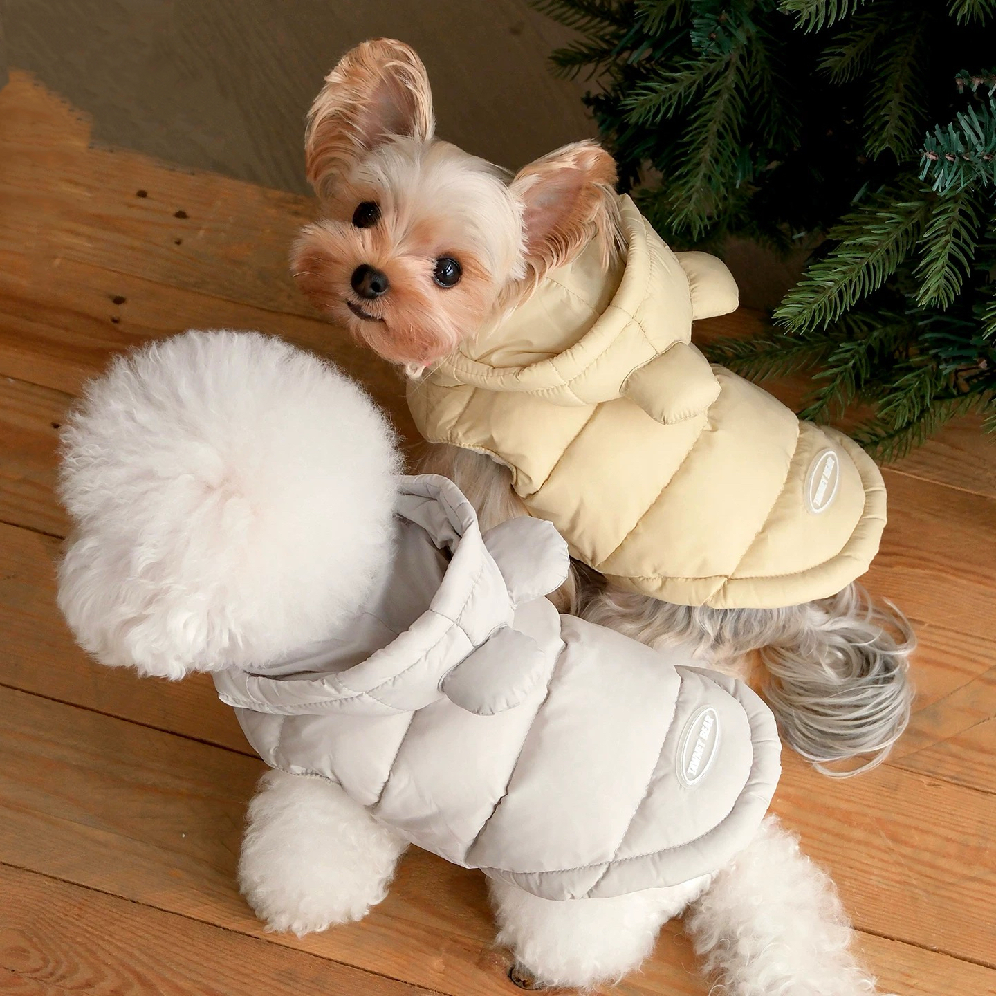 image_06D05F67-A0F9-4A9A-9FE9-4F98B59023DD_1762752077