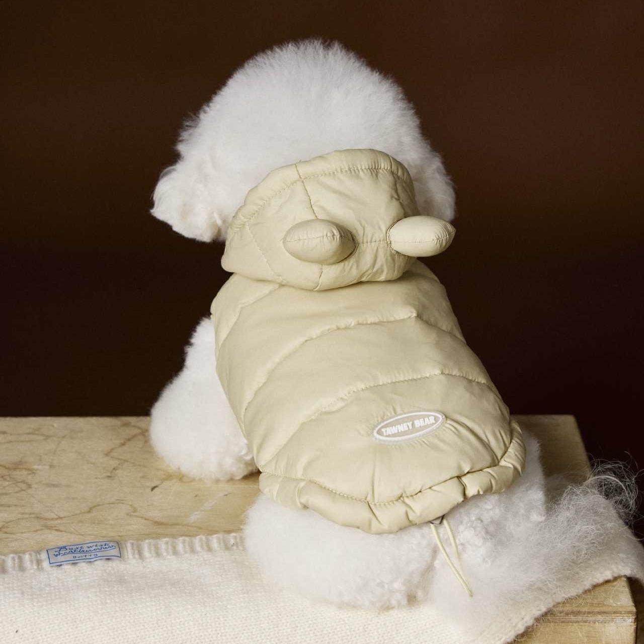 image_61F02B2F-224F-4B5B-A5E0-E5C16940B906_1762752235