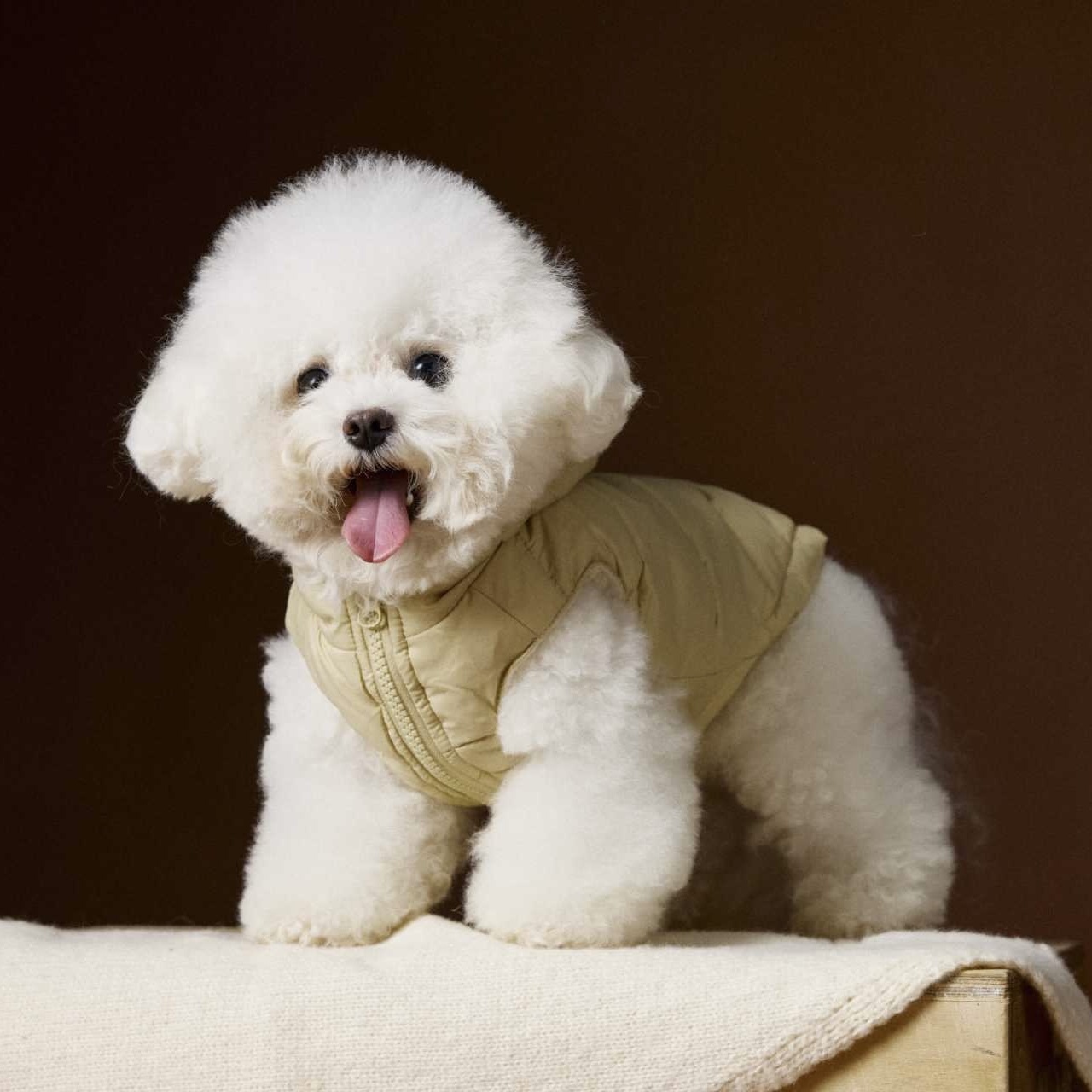 image_D73723B9-FC30-4400-AA67-DAA45FC604F9_1762752235