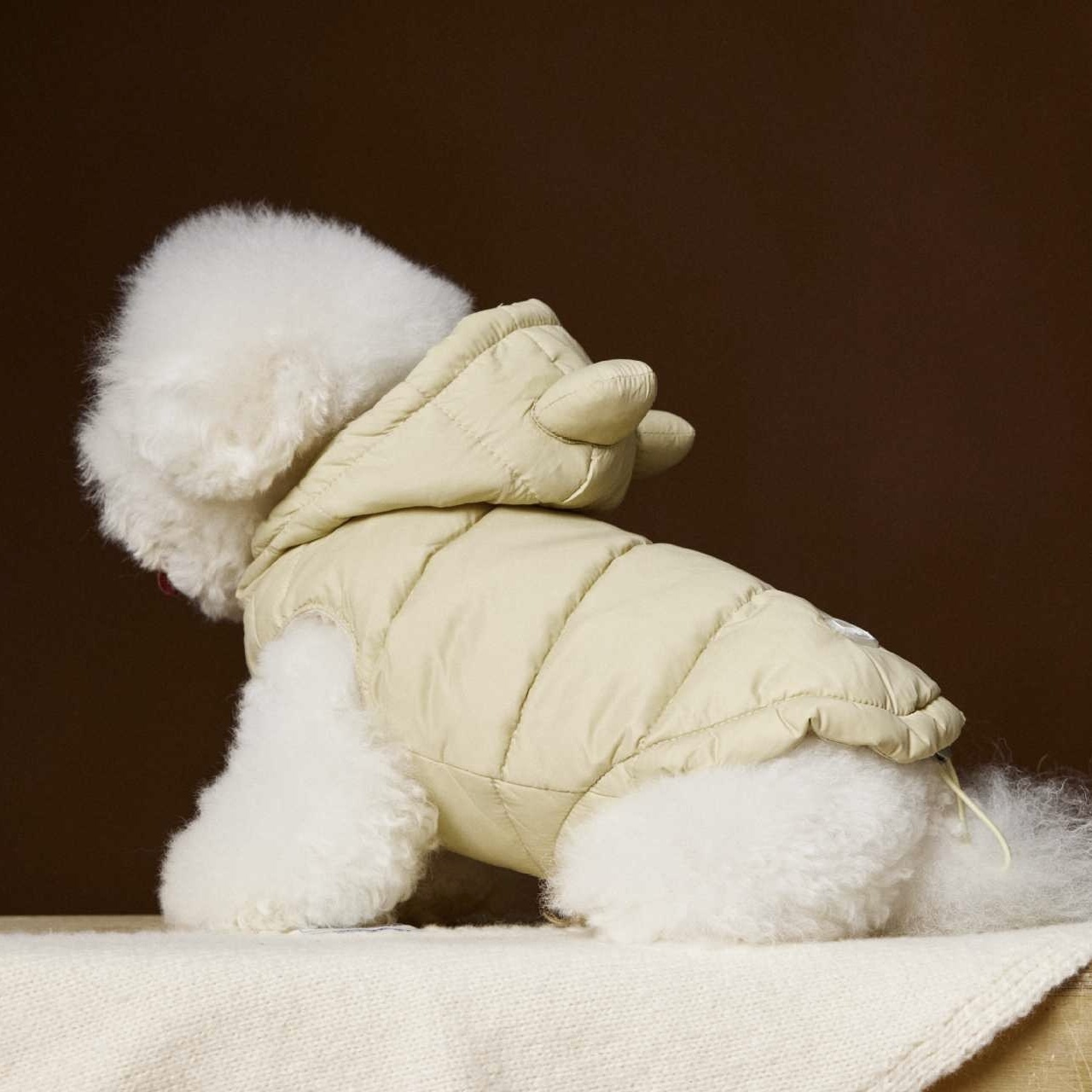 image_BCA4464F-F559-4BB6-96F3-040580E423CA_1762752235