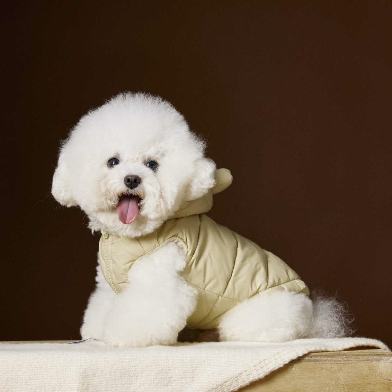 image_7E00ADA5-A039-49E3-A9AB-487171B2921D_1762752235